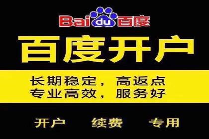 某行业SEM主管的优化策略与成果展示